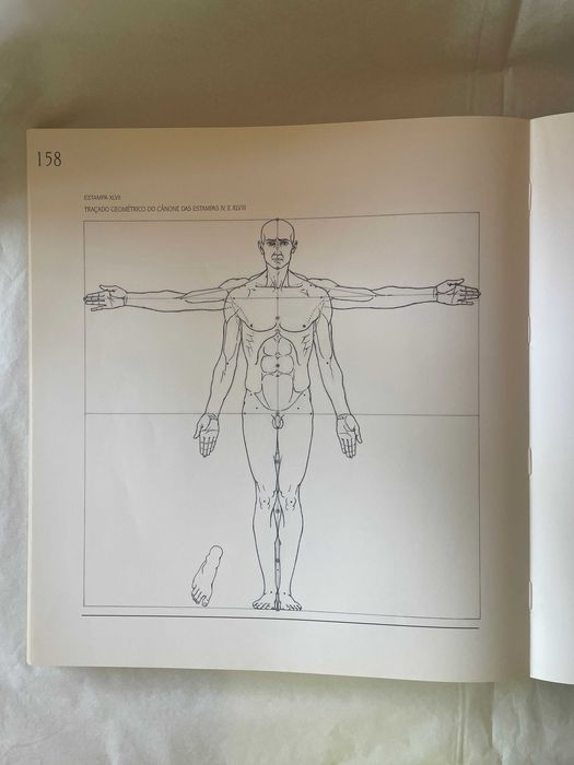 Anatomia Artística: Construção Plástica do Corpo Humano - Eduardo Tavares (Edições ASA)