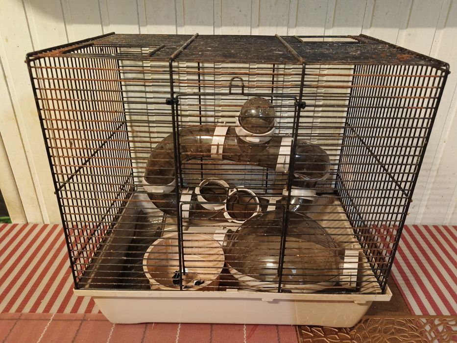Klatka dla chomika