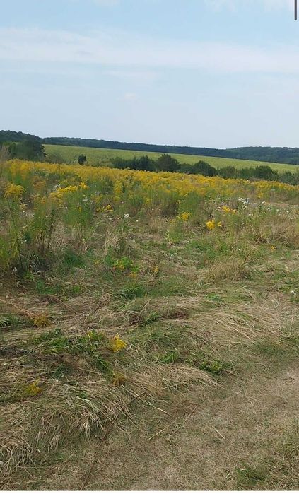 Продаж ділянки в Зарванцях вул.Багбунта