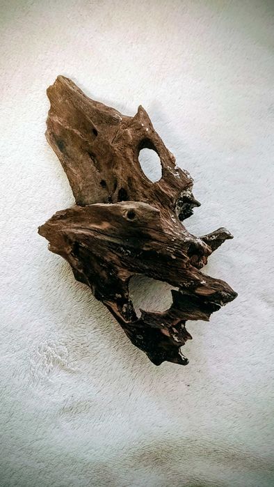 Korzeń Driftwood 15-20 cm.