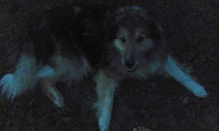 ZAGINĄŁ 6 LAT TEMU. Błagam o pomoc