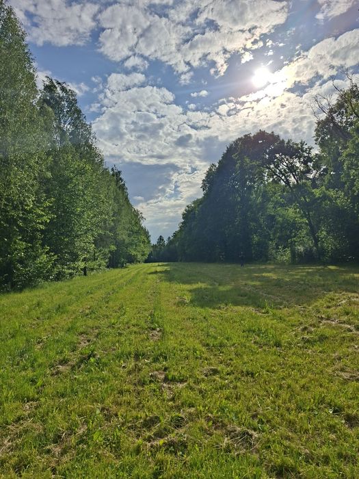 Powierzchnia 5600 m². Sprzedam działkę rolną pod inwestycje.np (agroturystyka) itp.
