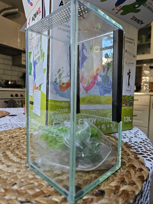 Terrarium dla patyczaka