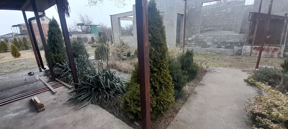 Продам дачу 12 сот  Шевченковский р,н