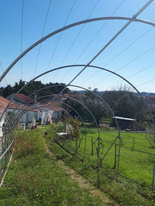 Estrutura de Estufa Agrícola Galvanizada