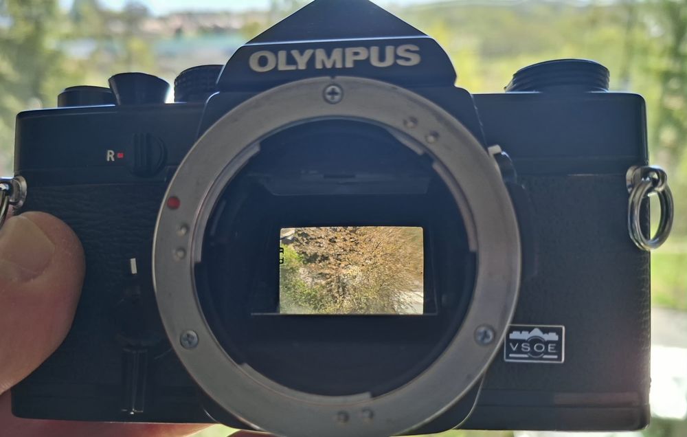 Olympus OM-1 Black + Zuiko 50mm f/1.8