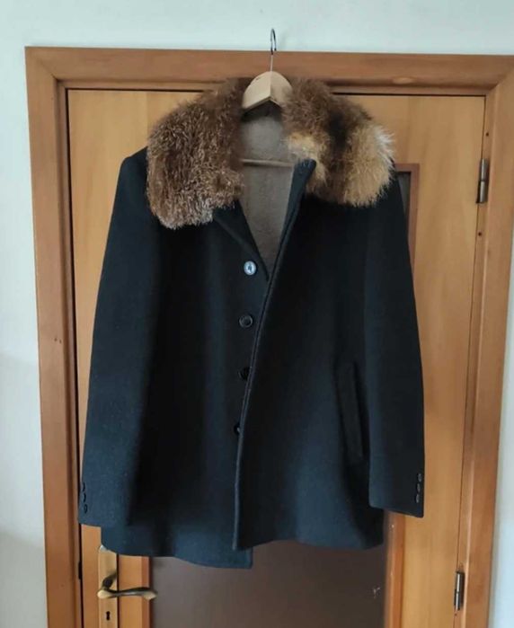 Samarra alentejana com pelo de raposa