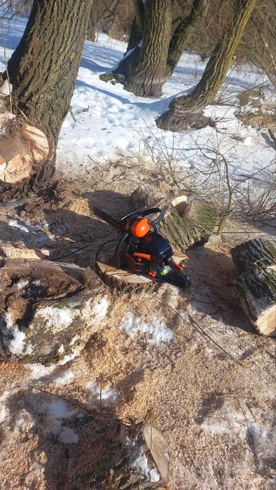 Послуги бензопильщика/заготівля дров