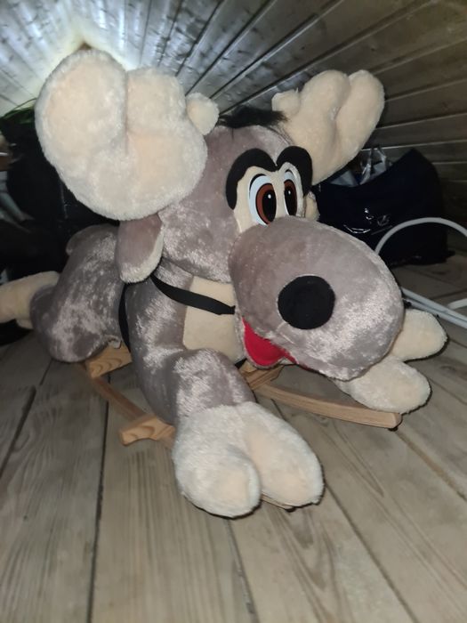 Renifer na biegunach