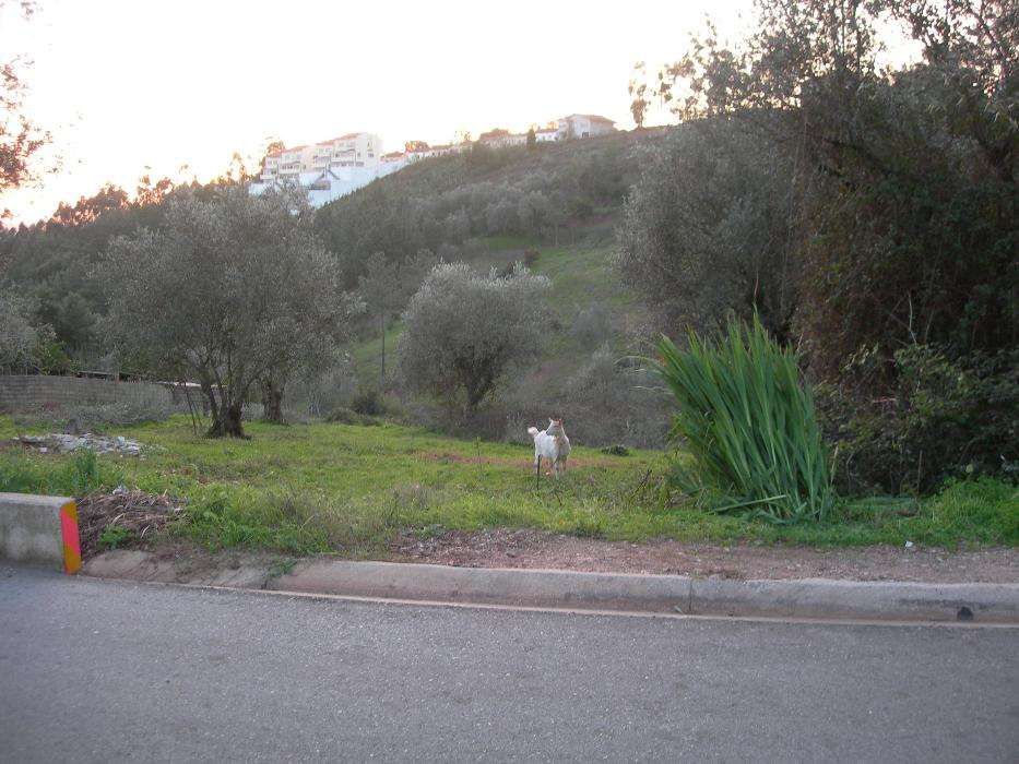 Terreno Urbano para construção.