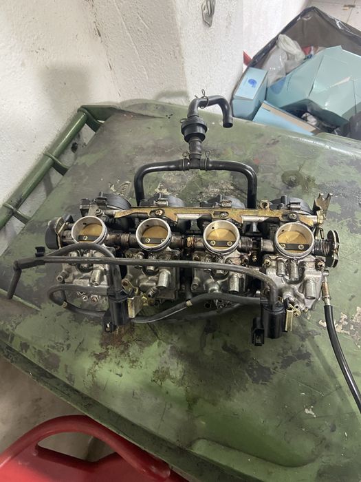 Carboradores gaxr srad