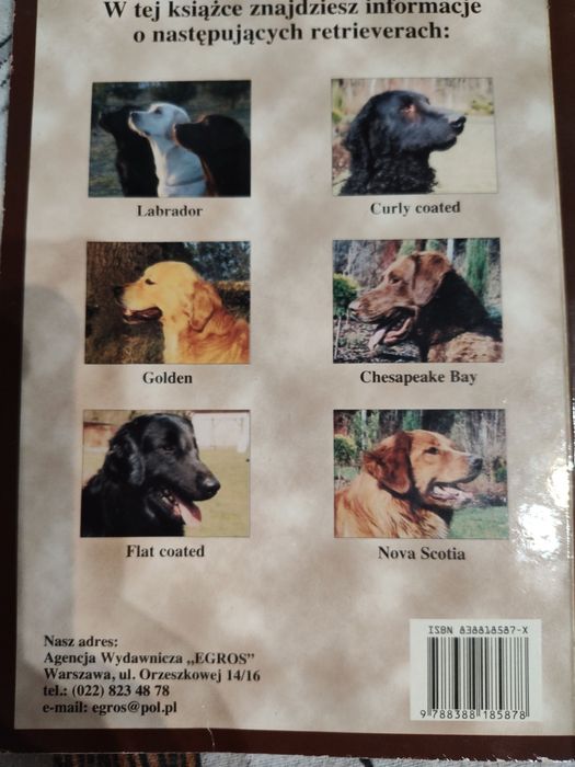 Labrador i inne retrievery