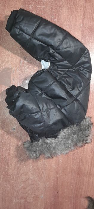 Новий одяг для собак