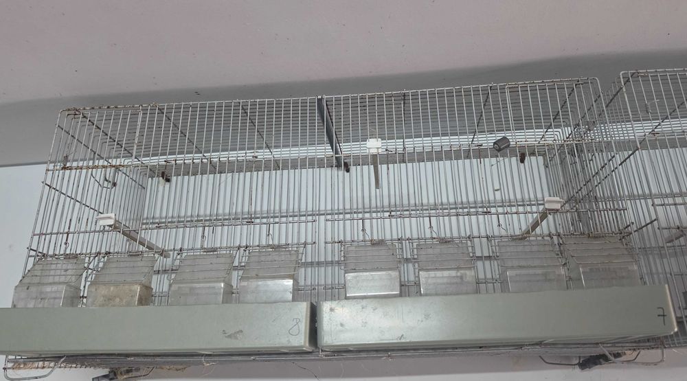 Gaiolas para criação 80cm