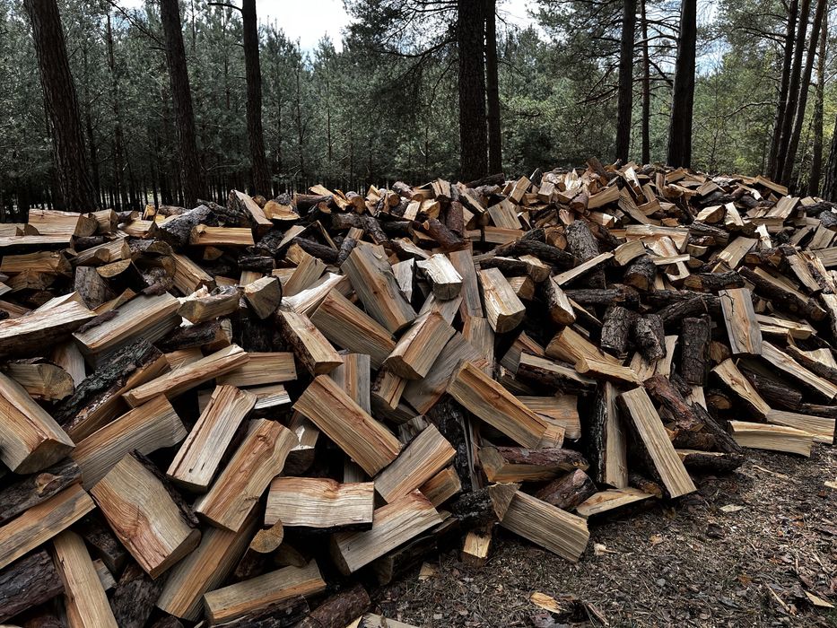 Drewno opałowe sosna