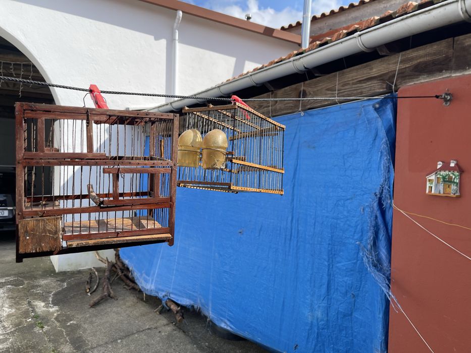 Gaiola pequena ou transportadora