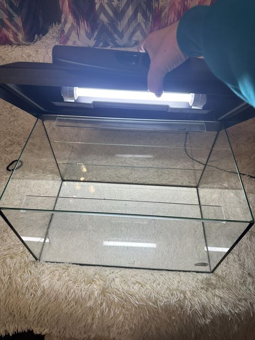 Тераріум з підсвіткою