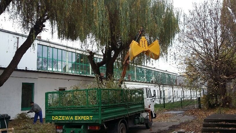 Wycinanie pielęgnacja drzew wycinka arborysta Wrocław tel 604.122.123
