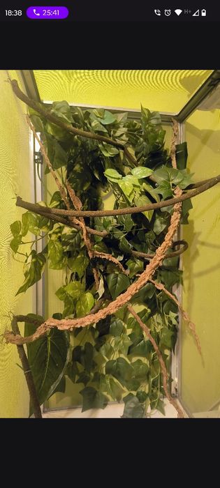 Terrarium plus wyposażenie