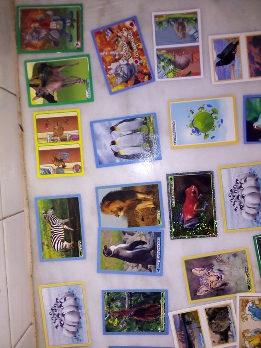 Conjunto de 45 Cromos Colecção Animais