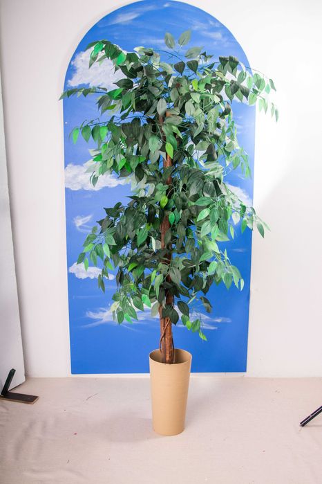 vaso e planta artificial usada