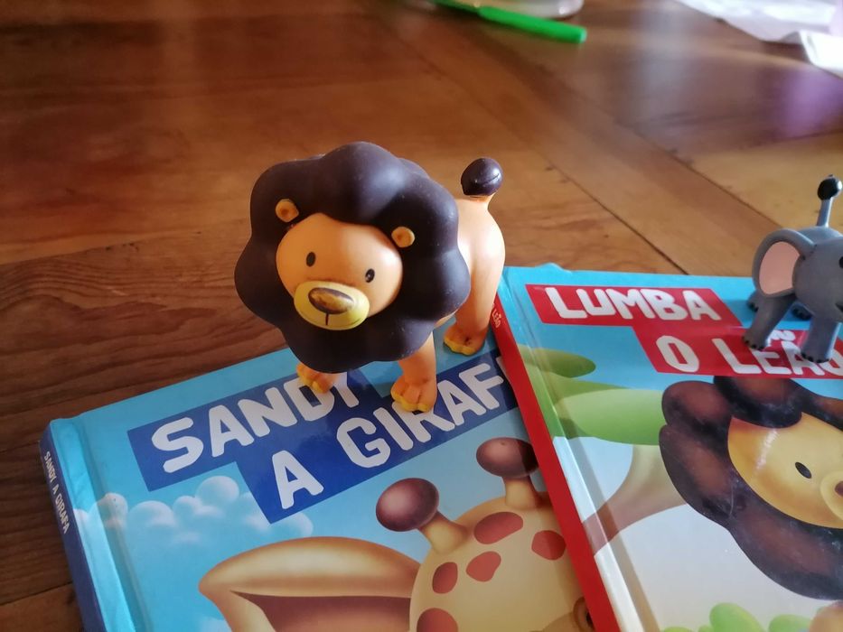 Livros e figuras Zoo RBA