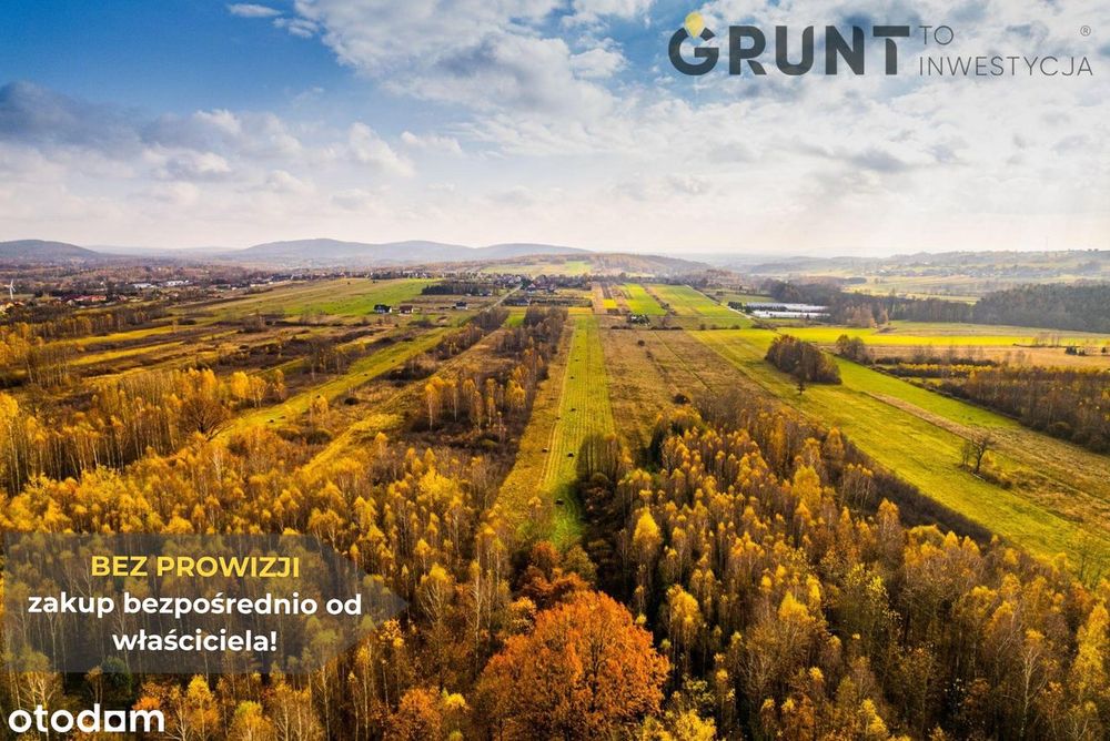 Działka budowlane przy lesie