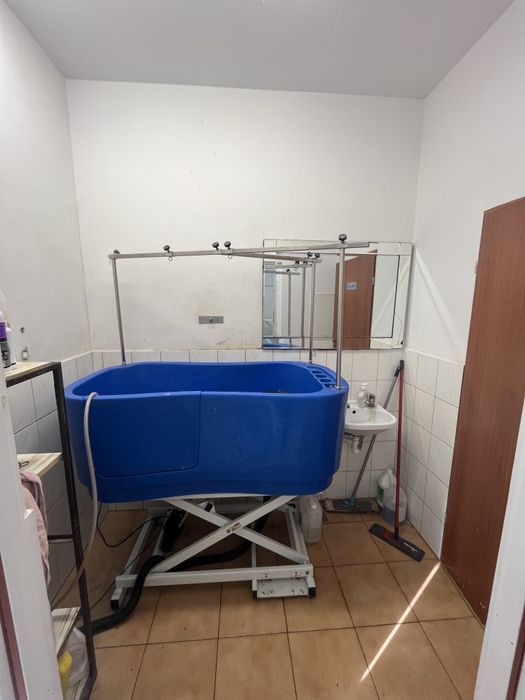 Lokal do wynajęcia