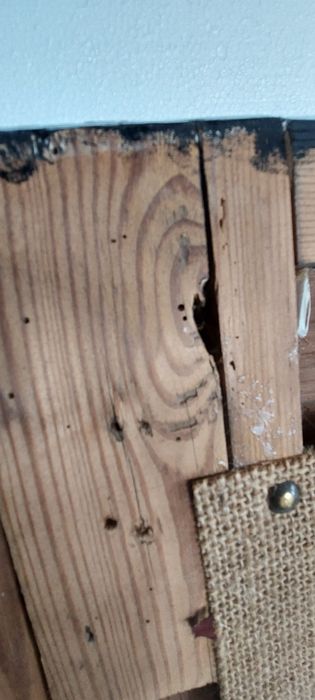 Lustro stare antyk w złotej ramie