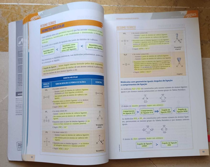 Livro "Preparar os Testes 10" de Física e Química