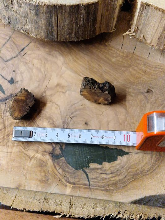 Par de Alfinetes de peito em madeira de oliveira