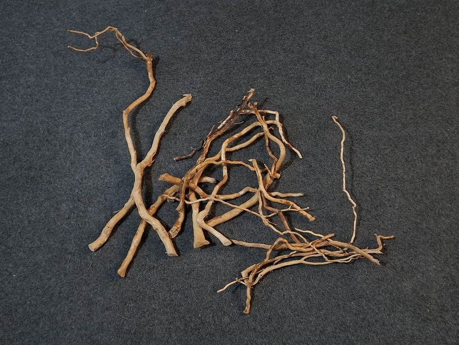 Tronco para aquário plantado - Novo 9 €