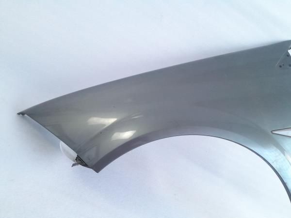 Guarda-lamas esquerdo RENAULT Megane II (BM0/1_, CM0/1_)