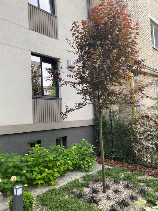 ‼️ оренда Некрасова ( Руфа ) , медичний університет