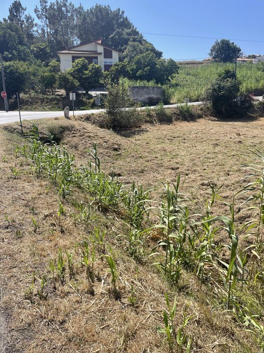 Terreno com viabilidade de construção