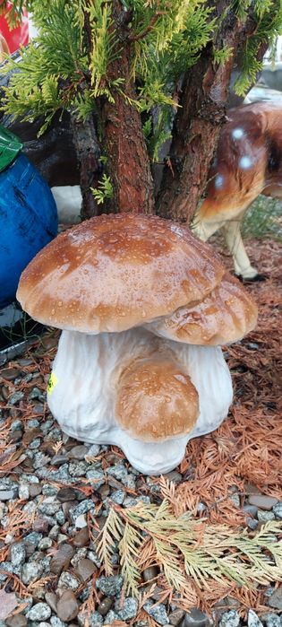 Piękne grzyby do ogrodu 24x26 cm