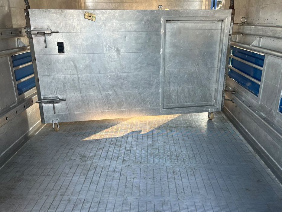 Iveco Dayli do transportu zwierząt żywca