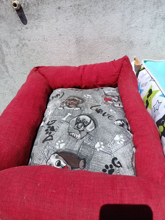 Camas para cão brinquedos e acessórios  - fim de stock