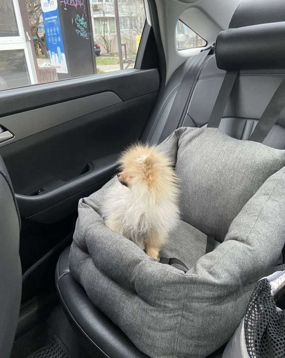 Доставка тварин, Перевезення тварин.. Львів. Переїзд. Трансфер