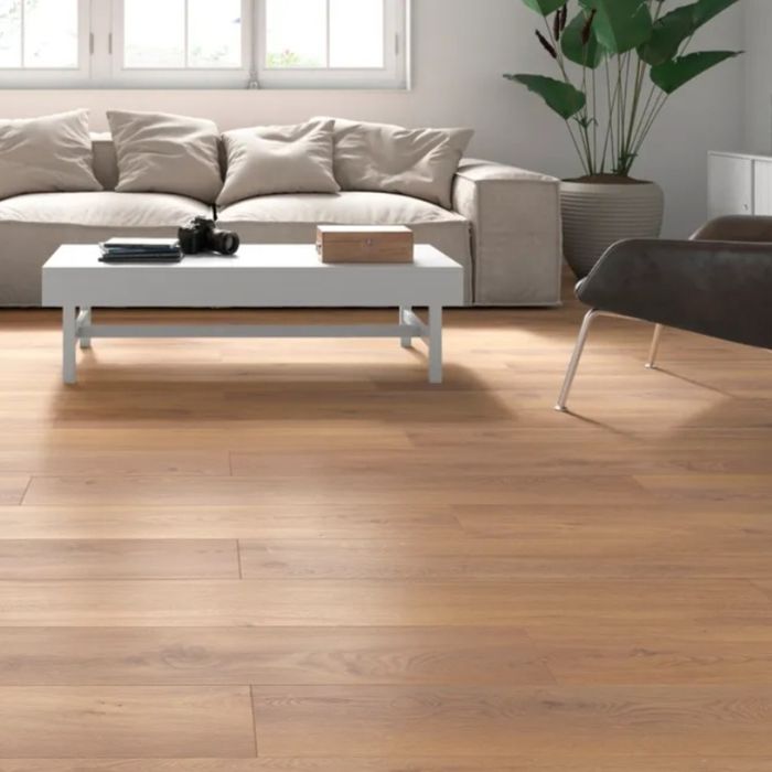 Montagem de cozinhas e Carpinteria Ligeira.  Deutsch, Italiano, Españo