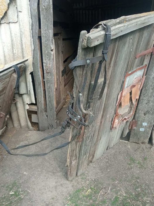 Продам шкіряну однокінну упряж