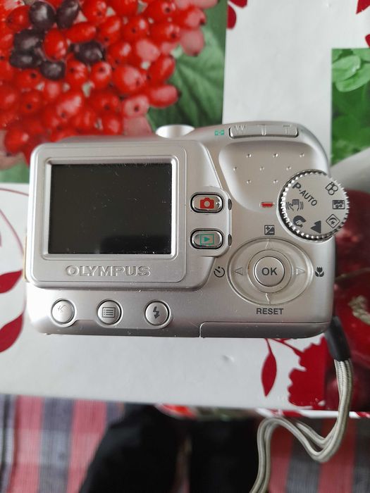 Olympus Camera64730009389699122