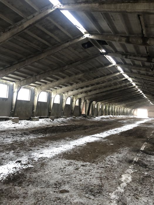 Клюшечник, зерносклад, ангар.