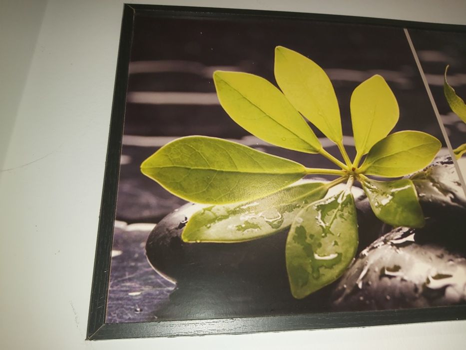 Quadro verde motivo Zhen – 5€