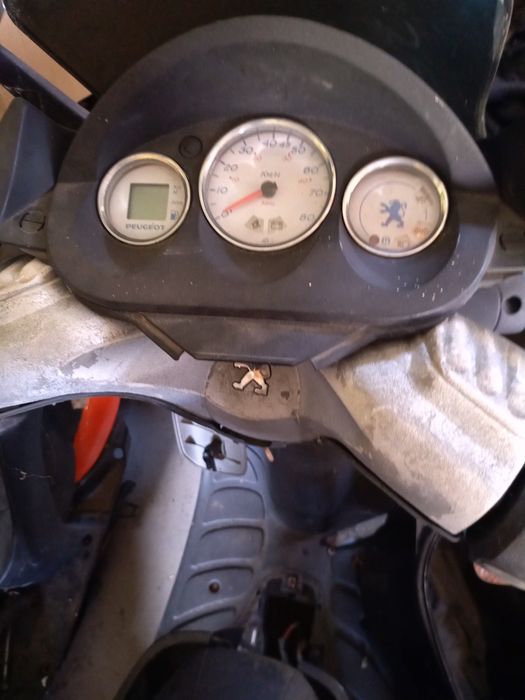 Peugeot elistar 50 licznik