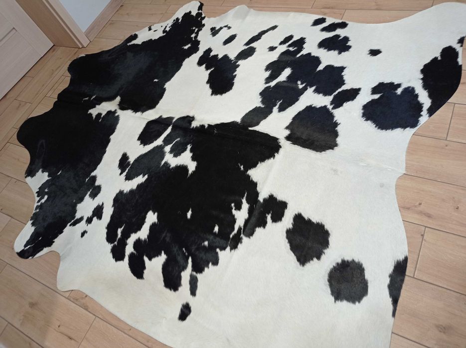 Ogromna Skóra Krowia Naturalna 230x200 cm – Łaciata, Unikat