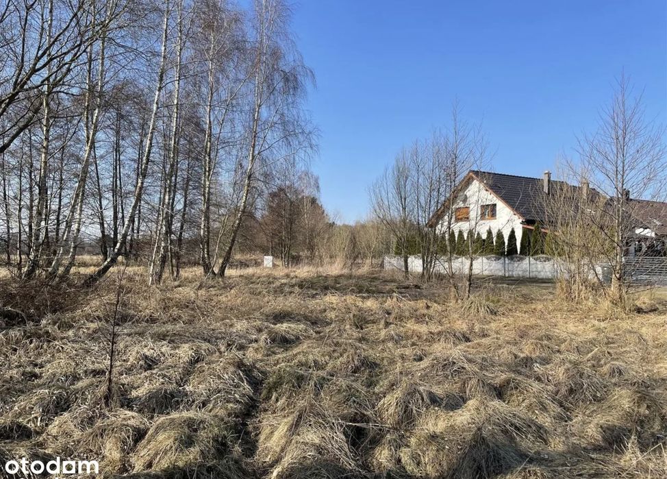 3 działki budowlane Sośnie, Dolina Baryczy,  796+844+890m2 MEDIA + WZ