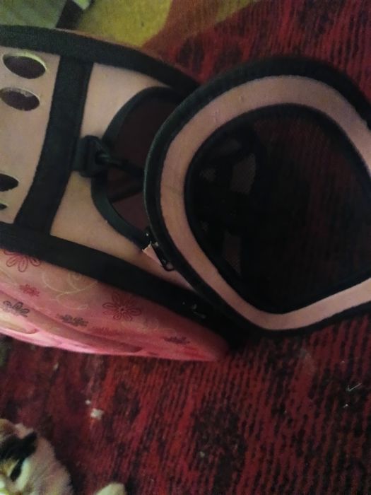 350 грн переноска для котів