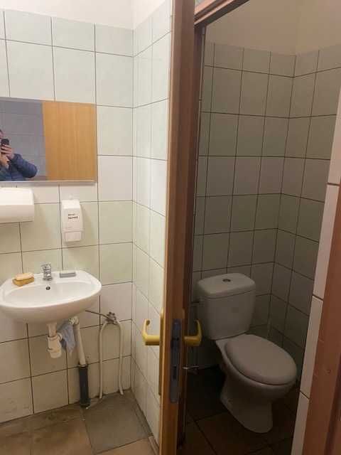 Dobrzyniewo Duże, przy Żabce, poczcie, Handlowy, usługowy, gastro