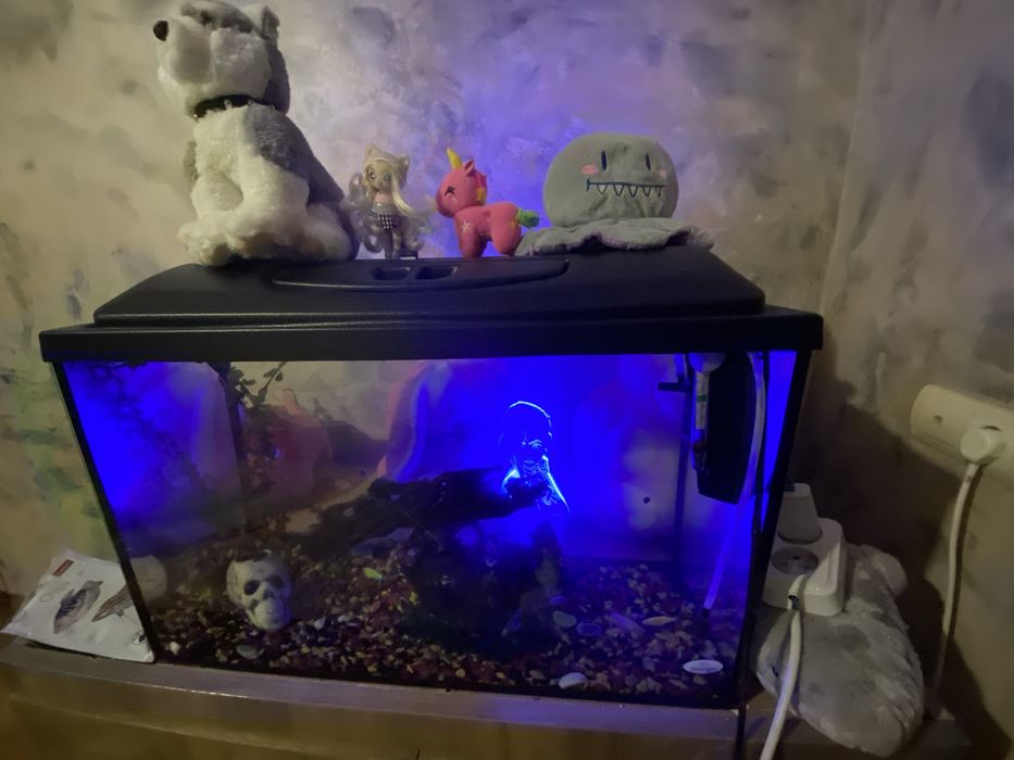 ТЕРМІНОВО ПРОДАМ АКВАРІУМ ! зі всім дуже дешево